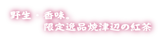 野生・香味。限定逸品焼津辺の紅茶